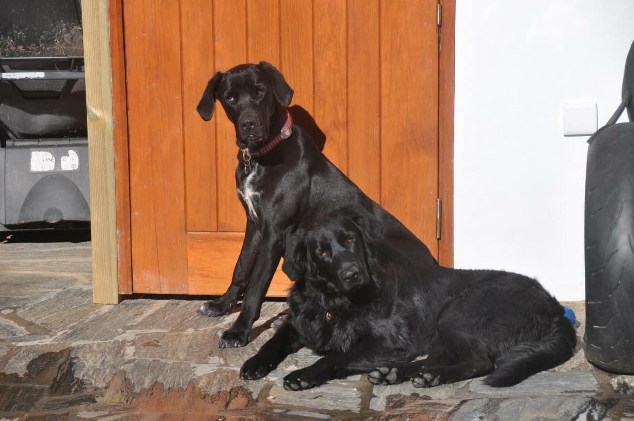 Affittacamere Quinta Do Bom Vento Óbidos Esterno foto